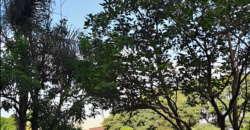 Casa à venda na Rua das Figueiras – Bairro Campestre, Santo André