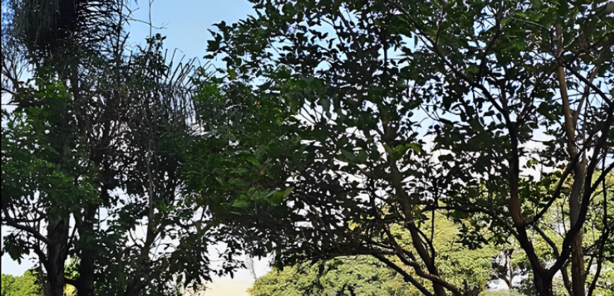 Casa à venda na Rua das Figueiras – Bairro Campestre, Santo André