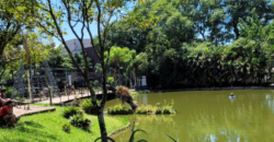 Casa à venda na Rua das Figueiras – Bairro Campestre, Santo André