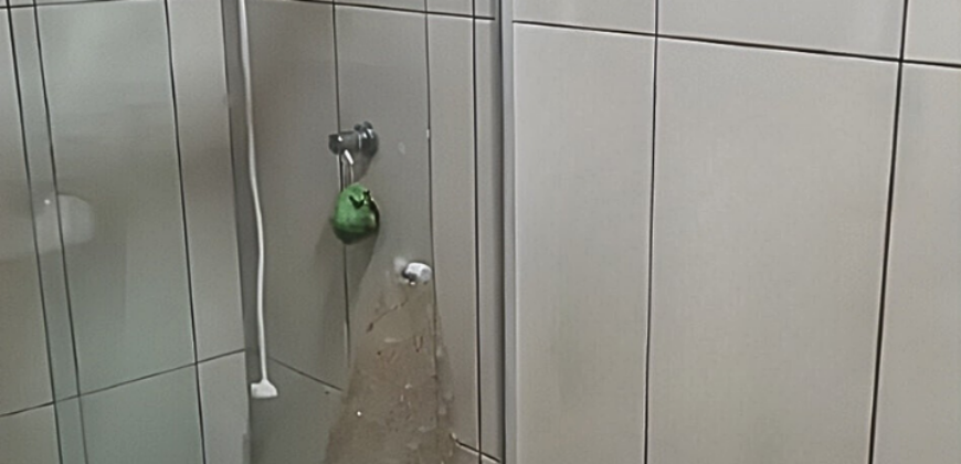 Casa com Sobrado em Pirituba, São Paulo