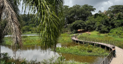 Casa com Sobrado em Pirituba, São Paulo