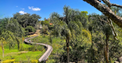 Casa com Sobrado em Pirituba, São Paulo