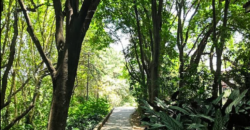 Casa com Sobrado em Pirituba, São Paulo