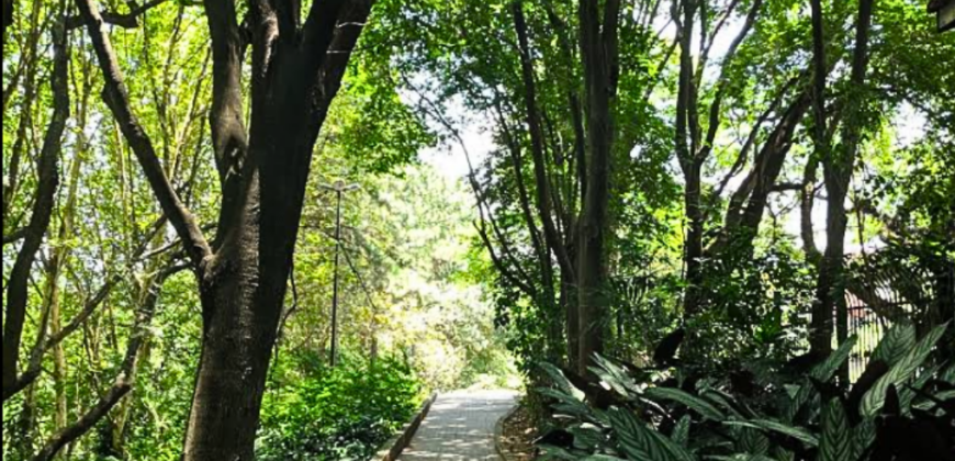 Casa com Sobrado em Pirituba, São Paulo