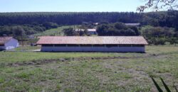 Sítio Espetacular à Venda com Múltiplas Construções em Itu