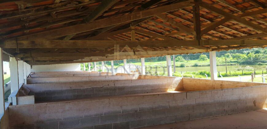 Sítio Espetacular à Venda com Múltiplas Construções em Itu
