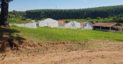 Sítio Espetacular à Venda com Múltiplas Construções em Itu