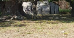 Sítio Espetacular à Venda com Múltiplas Construções em Itu