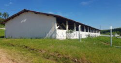 Sítio Espetacular à Venda com Múltiplas Construções em Itu