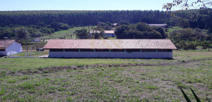 Sítio Espetacular à Venda com Múltiplas Construções em Itu