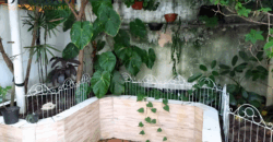 Casa no Alto da Lapa 150 m² – imóvel versátil com excelente potencial de valorização!