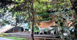 Imóvel Comercial de Alto Padrão na City Lapa: 584m² Privilegiados para Clínicas e Escritório