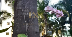 Apartamento para Locação no Condomínio Garden Village – Vila Sônia