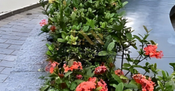 Apartamento para Locação no Condomínio Garden Village – Vila Sônia