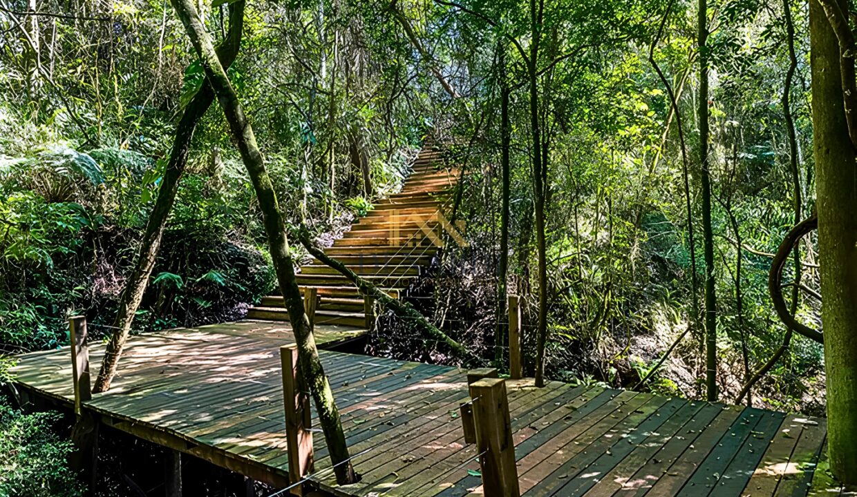 caminhada-ninho-verde-ii-terreno-a-venda