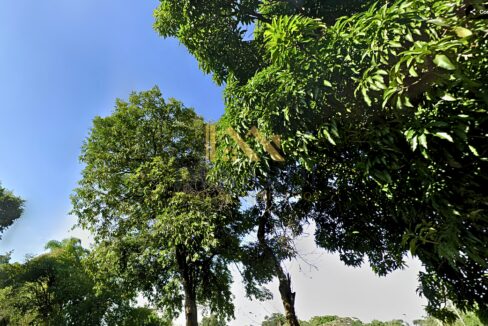 casa-venda-taubate-parque-sao-luis