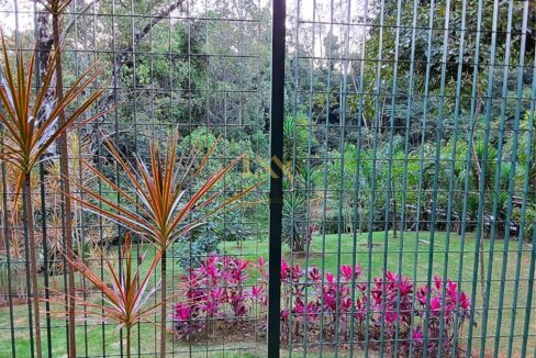 jardim-floresta-bosque-espaço-verde-em-sorocaba