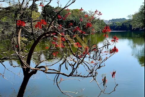 lindo-lago-residencial-arte-de-viver-casa-a-venda-em-sorocaba