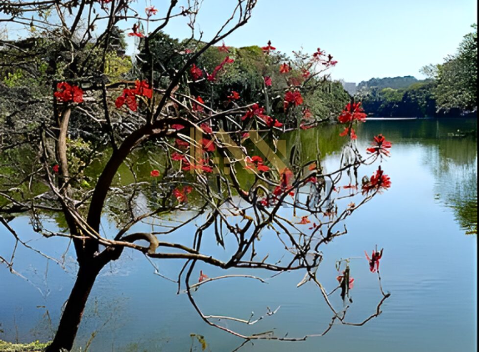lindo-lago-residencial-arte-de-viver-casa-a-venda-em-sorocaba