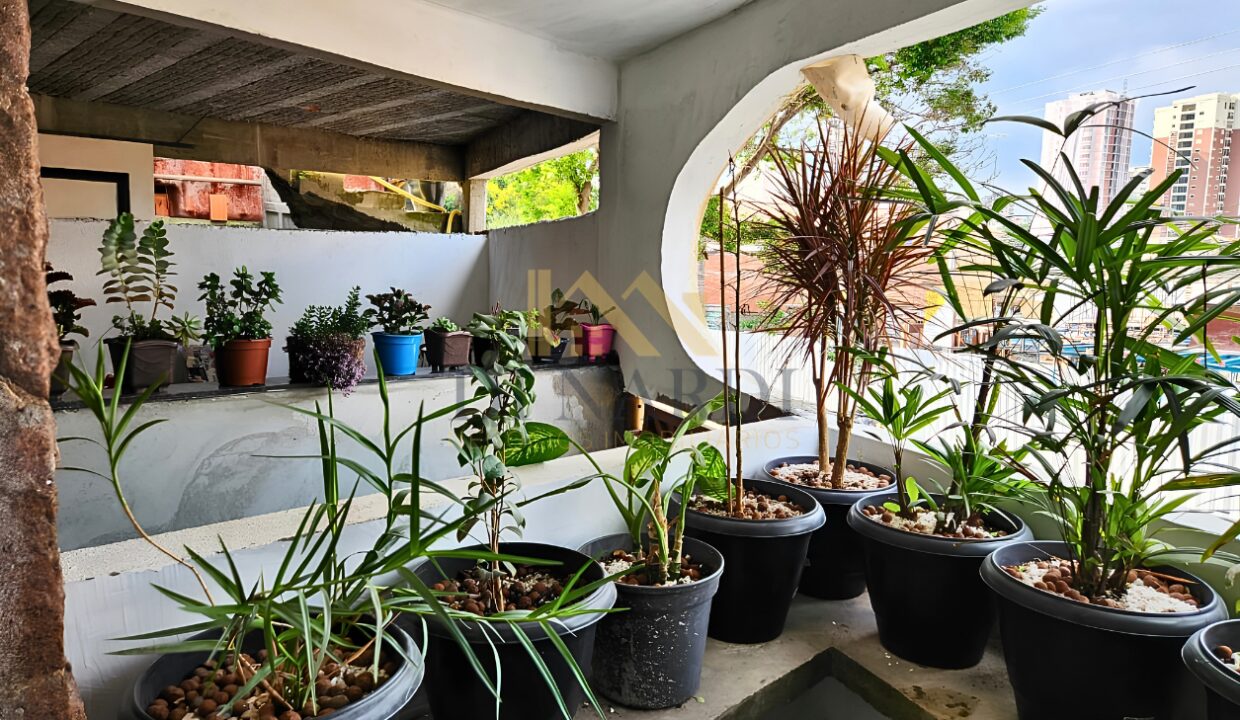 sobrado-306m2-jardim-sao-paulo-rua-amoroso-costa-área-de-serviço
