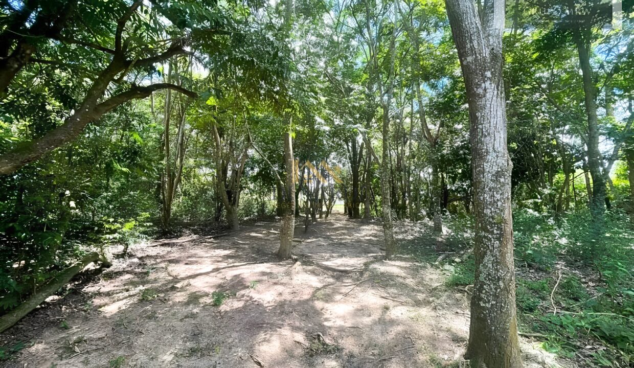 terreno-a-venda-em-condominio-fechado-com-pista-de-caminhada