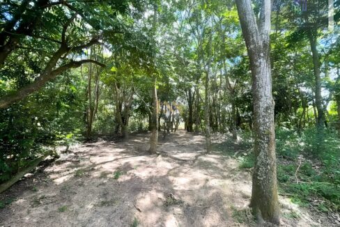 terreno-a-venda-em-condominio-fechado-com-pista-de-caminhada