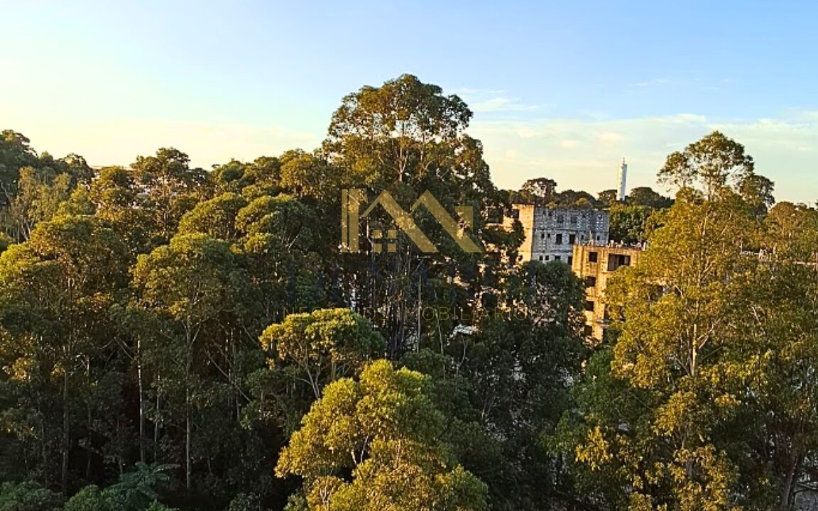 vista-bosque-janela-do-quarto