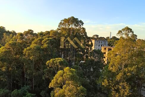vista-bosque-janela-do-quarto