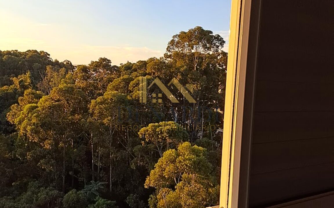 vista-da-janela-bosque-natural-park